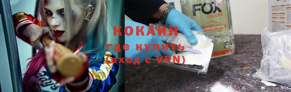мдпв Ельня