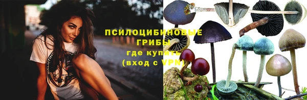 соль ск Елизово