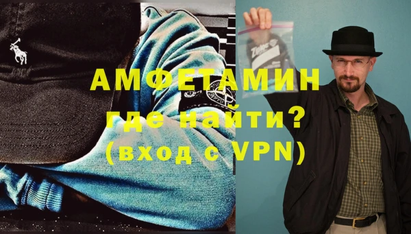 мдпв Ельня
