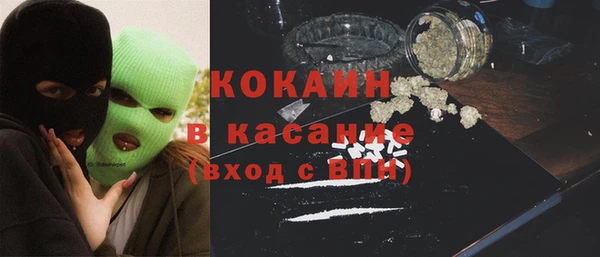 индика Дмитровск