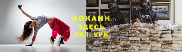 мдпв Ельня