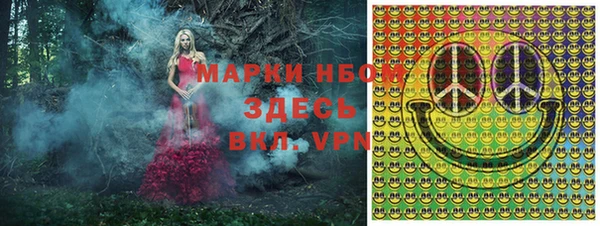 индика Дмитровск