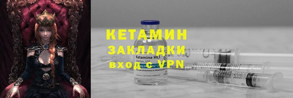 индика Дмитровск