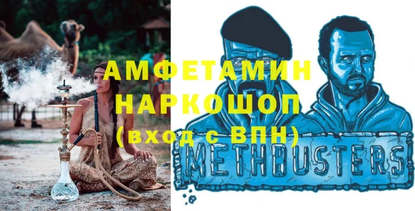 индика Дмитровск