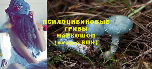 индика Дмитровск