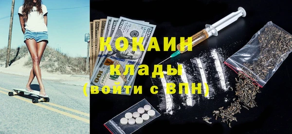 индика Дмитровск