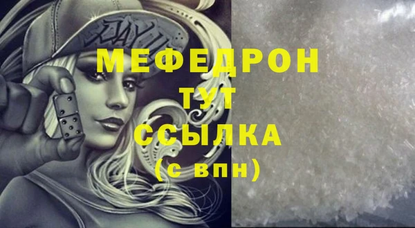 мдпв Ельня