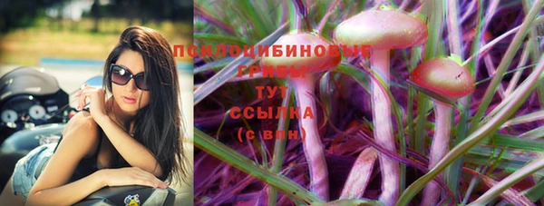 молекула духа Дмитриев