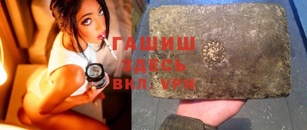 мдпв Ельня