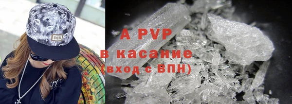 индика Дмитровск