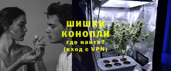 мдпв Ельня